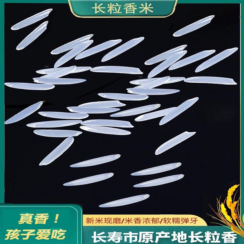 广西农家米2023猫牙新米香米煲仔饭长粒香米大米丝苗5kg10斤 - 图0