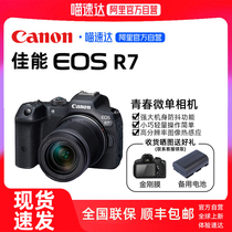 (Alis official self-proprietary) Canon EOS R7 micro-single-phase machine 4K high-definition video digital live micro-single-phase machine