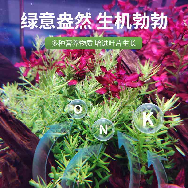 Dr.tank坦克水草鱼缸净水剂片除蓝绿藻除蜗牛涡虫基肥根肥片 - 图1