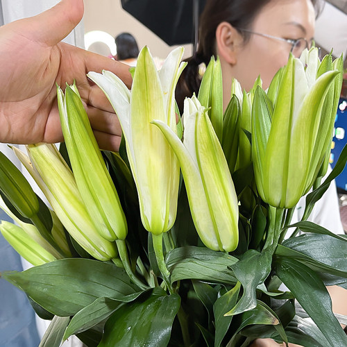 香水百合花鲜花云南直发鲜切花插花鲜花速递同城 - 图3