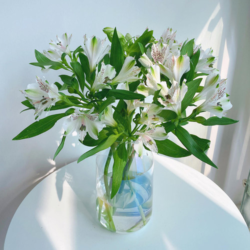 水仙百合六出花鲜切花水养家庭插花昆明基地直发 - 图2