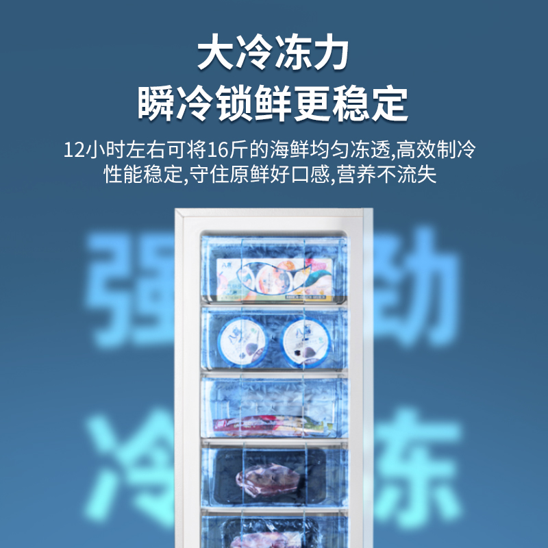 荣事达一级能效立式冰柜家用抽屉全冷冻冰箱小型母乳储奶保鲜冷柜