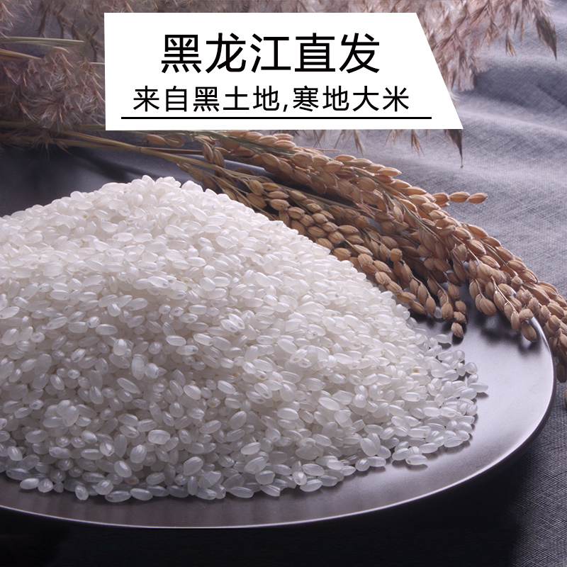 东北大米新米圆粒珍珠米真空包装粳米煮粥黑龙江农家大米5斤10斤-图1