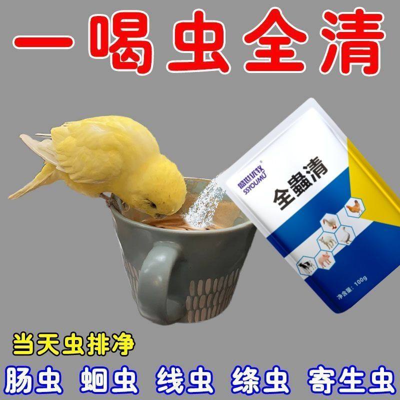 鹦鹉体内体外驱虫鹦鹉八哥鸽子画眉鸟咬毛啄羽寄生虫蛔虫肠胃清虫,淘宝优惠券,粉丝福利购,淘宝优惠卷