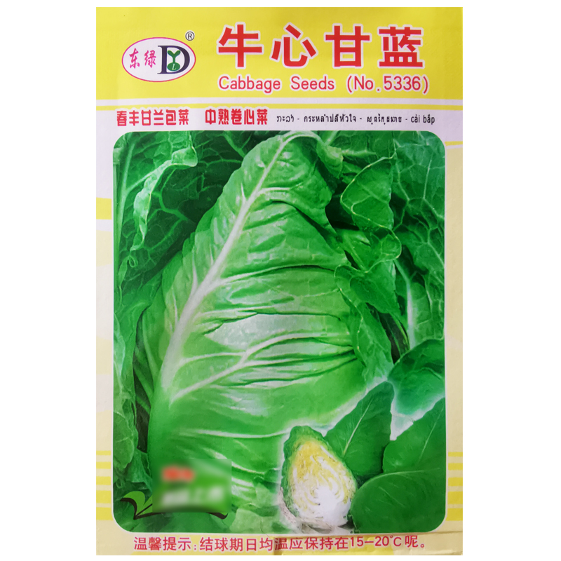 牛心甘蓝种子春丰甘兰包菜大牛角卷心菜种籽农家菜园青菜蔬菜种孑-图3