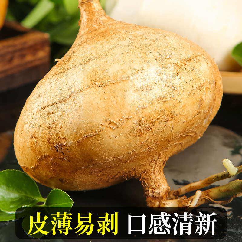 广西白心地瓜新鲜现挖当季蔬菜农家9斤凉薯豆薯番薯沙葛山芋包邮