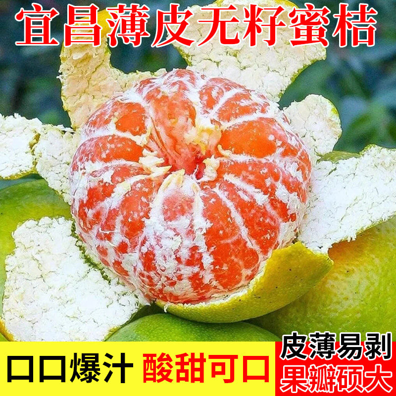 【梦三峡】地标认证宜都蜜桔5斤带箱