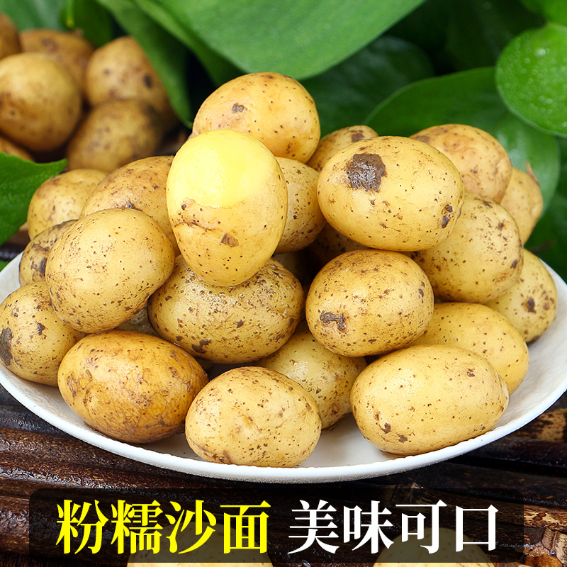 正宗恩施小土豆10斤包邮新鲜士豆黄心南方富硒蔬菜迷你马铃薯洋芋