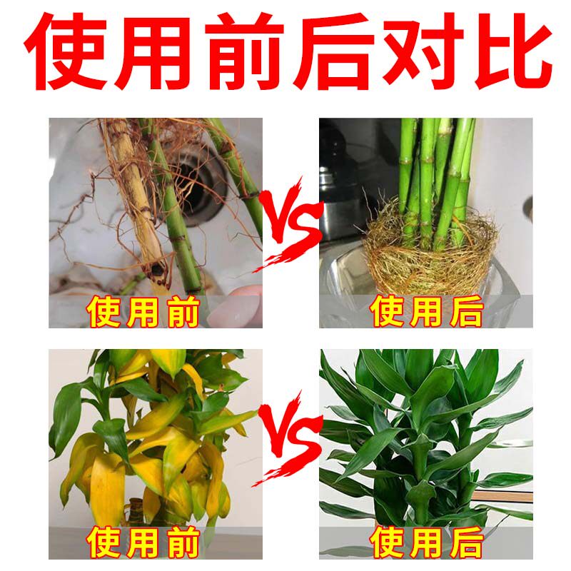 水培富贵竹专用营养液土培植物带根肥生根叶子发黄肥料黄叶生长液