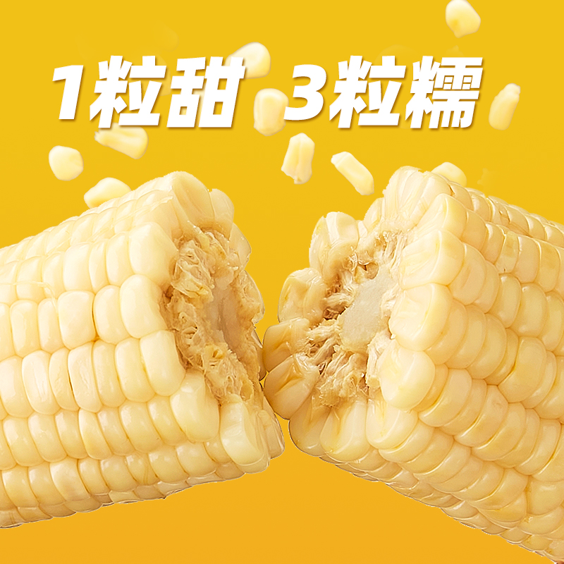 玉米甜糯玉米东北苞米真空装包装袋新鲜粘糯玉米农科玉官方10根装