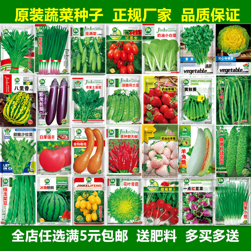 蔬菜种子香菜番茄辣椒菠菜黄瓜青菜籽生菜萝卜白菜四季播种孑大全 - 图0