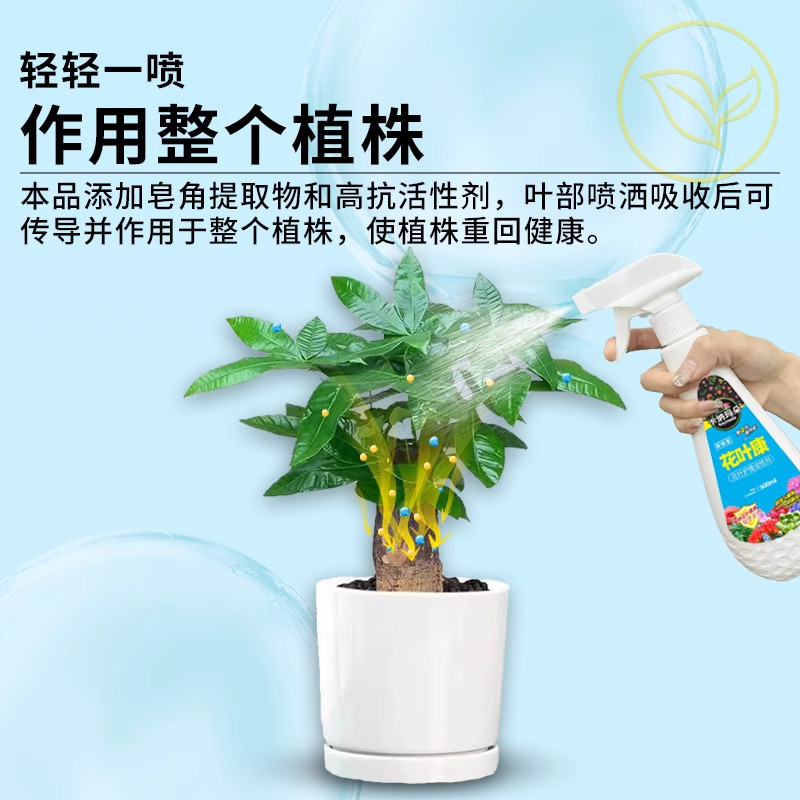 花叶康病喷雾护理活性剂烂根卉多肉灰霉叶斑黑斑白粉旗舰店杀菌剂,淘宝优惠券,粉丝福利购,淘宝优惠卷