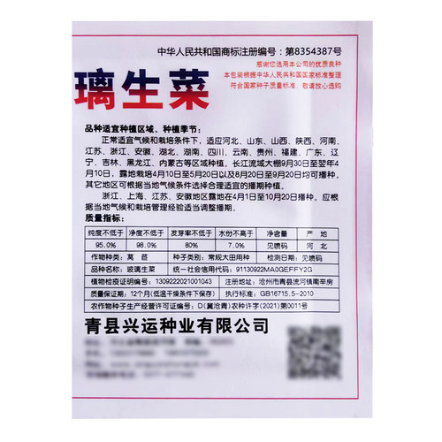 甜脆玻璃生菜种子春秋四季播青菜阳台盆栽庭院农家高产蔬菜种籽孑 - 图2
