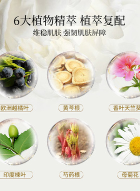 保湿补水170ml/瓶精华水平衡水油
