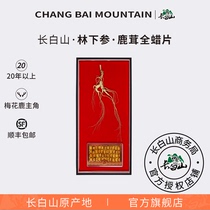 Divine Rhyme Long White Mountain Forest Under Antler Full Wax Sheet North East Zhengzonn AoLaoshan Ginseng Old Ginseng Bubble Wine Material Dried Ginseng Gift Box
