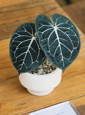 刺绣热植克莱恩花烛磁吸盆栽摆件