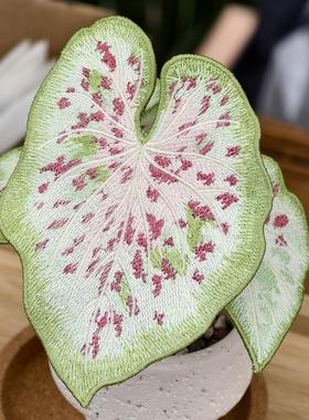 刺绣热植白日梦彩叶芋磁吸盆栽