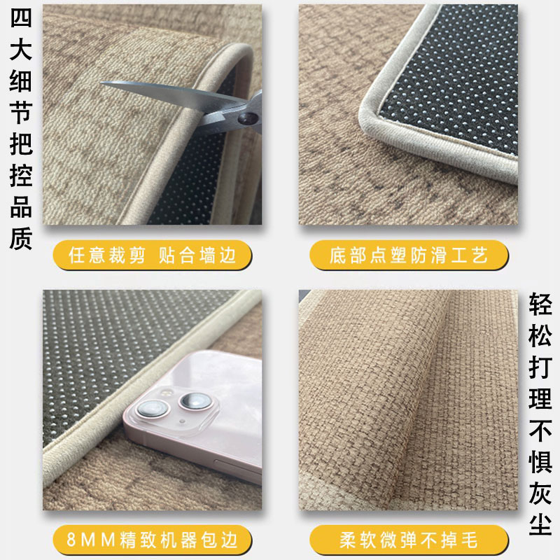 纯色入户门地垫客厅卧室轻奢高级大门口地毯门垫进门玄关脚垫家用