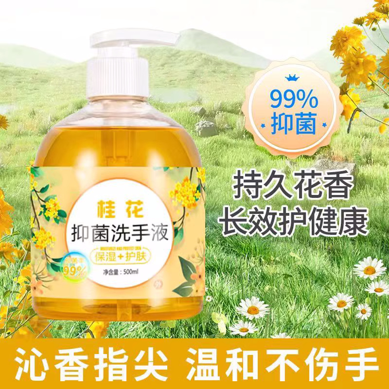 洗手液持久留香呵护家用杀菌消毒专用清洁按压瓶抑菌家庭装香水味