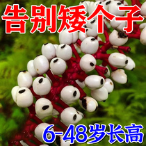 With post-length high) long high patch length high theorizer short sub new technology to change 5-30 cm long high insole sticker