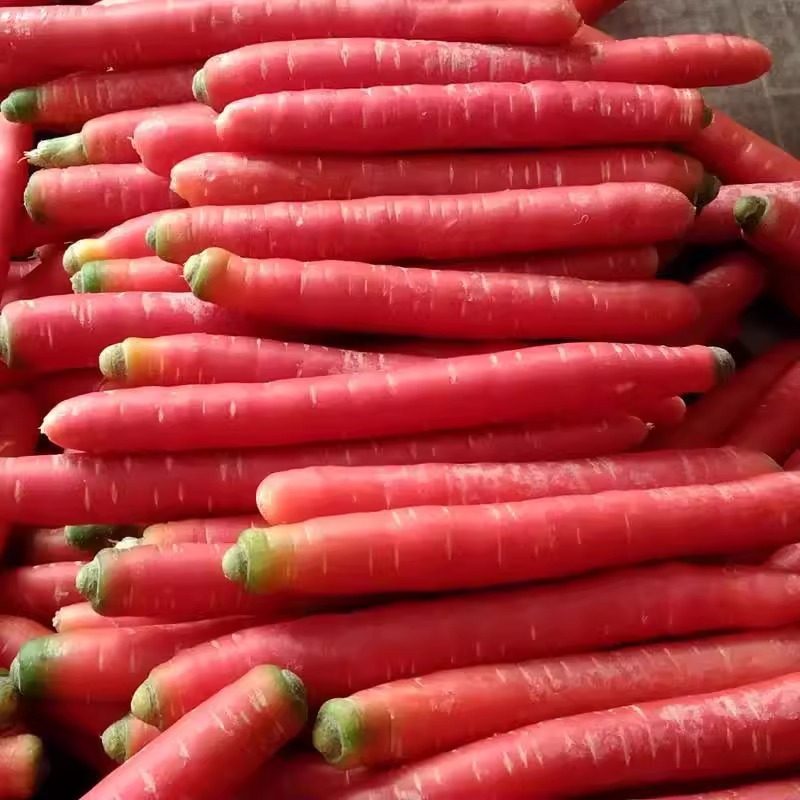 四川农家红萝卜新鲜红心甜萝卜自种生吃沙地水果红胡萝卜辅食蔬菜,淘宝优惠券,粉丝福利购,淘宝优惠卷