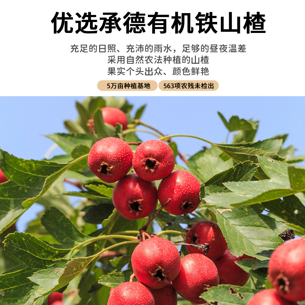 妙此有机山楂棒棒糖无食盐儿童零食水果条果棒健康零食80g/盒*2