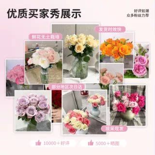玫瑰花鲜花百合康乃馨山东基地直发顺丰包邮鲜切花插花水养真花 - 图1