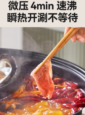 摩动微压鸳鸯电火锅大容量电煮锅