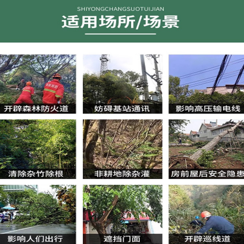 大树烂根药一滴快速枯死强力除树灭树除草竹子专用高浓度腐蚀药剂 - 图3