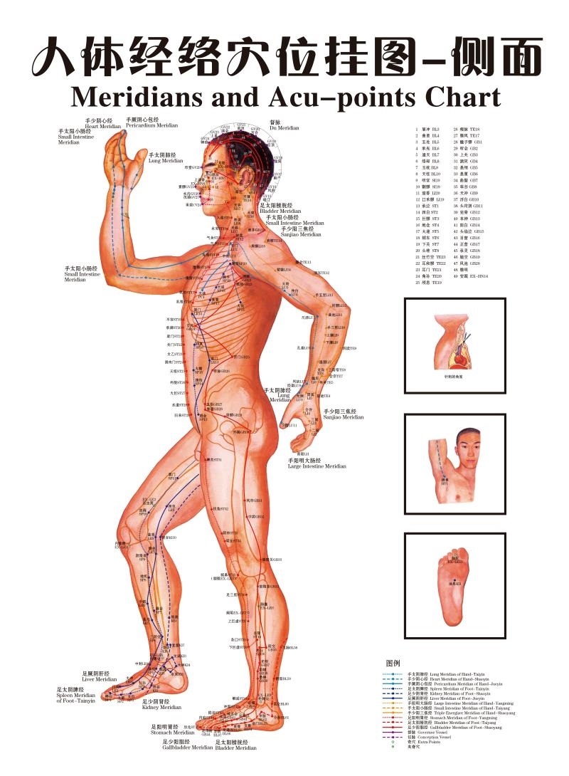 人体经络穴位挂图_正面反面侧面海报展板人体脉络穴位图挂图-图1
