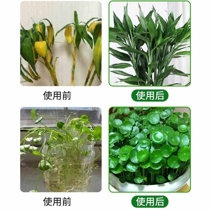 水培植物专用营养液通用型富贵竹碗莲睡莲观音竹郁金香铜钱草通用,淘宝优惠券,粉丝福利购,淘宝优惠卷