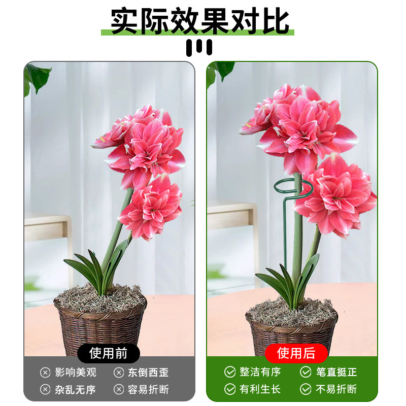 植物防倒伏支架铁艺绣球吊兰支撑杆园艺固定架爬藤花卉朱顶红花架,淘宝优惠券,粉丝福利购,淘宝优惠卷