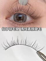 Small Devil Whole Cluster Fake Eyelash Natural Emulation Fairy Hair Woman Fine Stalk Super Stick Durable Natural Graft New Hand Special