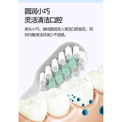 ZSPRING适配roaman罗曼T40电动牙刷头HT30小心机F1恒力星球刷SF01 - 图3