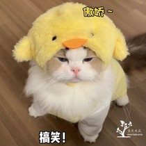 Kitty Headgear Small Chicken Hat Pet Cute Photo Autumn Winter Can Warm Pooch Muggy Changing Hat Marzis Headwear
