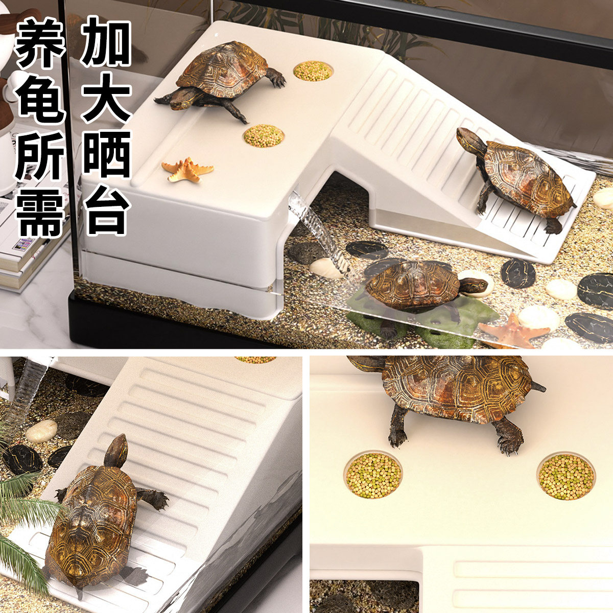 Turtle tank desktop small hermit crab transparent rainforest tank