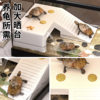 Turtle tank desktop small hermit crab transparent rainforest tank