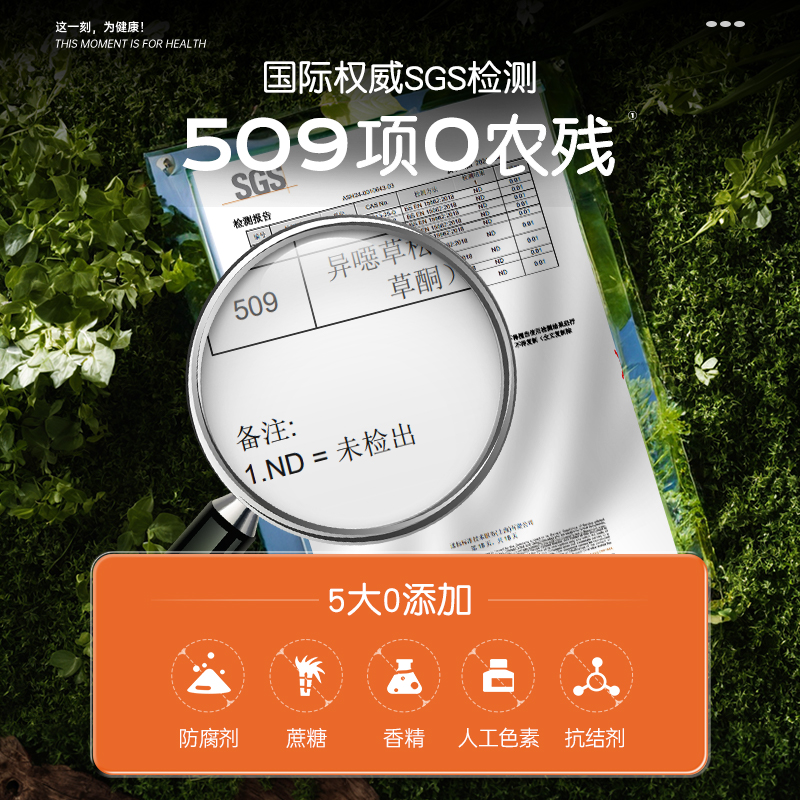 三盒装】安喜莱金方八珍粉党参黄芪山药粉脾胃双养官方旗舰店720g