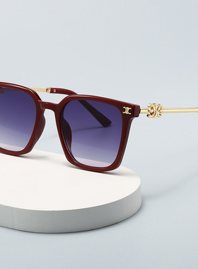 2024新款潮韩版太阳镜女高级感凯旋门复古大框显瘦网红街拍墨镜男