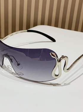 骑行防风眼镜灵蛇镜腿个性猎奇墨镜女欧美一体式镜片无框太阳镜女