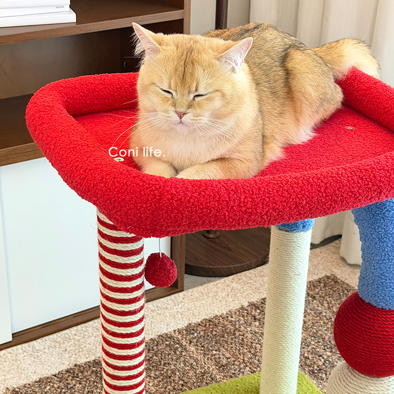 Coni life猫爬架猫窝一体剑麻猫抓柱猫架子小型不占地猫玩具用品,淘宝优惠券,粉丝福利购,淘宝优惠卷