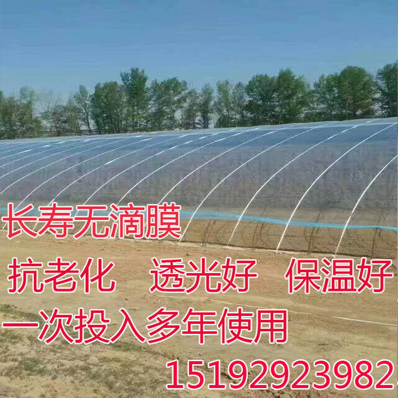 进口加厚种植蔬菜大棚膜高透光po膜无滴膜抗老化养殖全新料塑料布