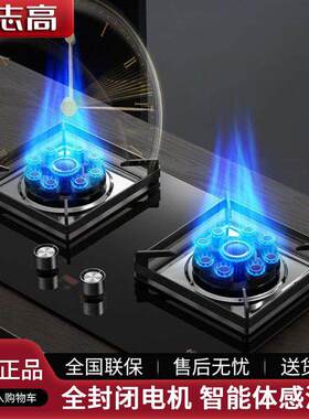 志高燃气灶家用双灶天然