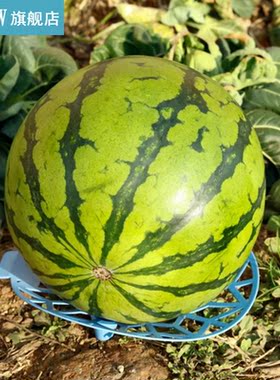 Watermelon Support Holder Melon Squash Cradles for Gardening