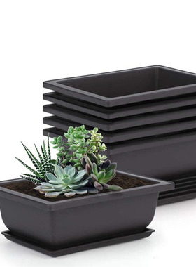 10 Packs Bonsai Training Pots with Tray Plastic Bonsai Plant