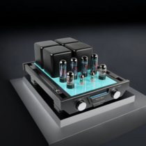 2024 new high class GoalBon E-35s combined guts luxury custom version