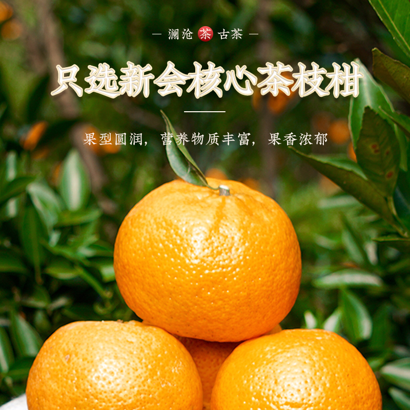 茶妈妈2020年陈皮新会陈皮4年陈老陈皮茶新会送礼柑皮茶200g罐装