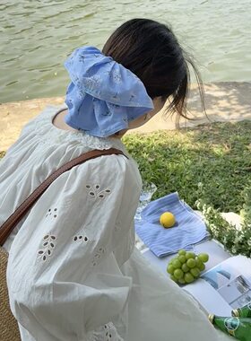 韩系穿搭森系蓝色抓夹蒲公英苎麻棉裙摆马尾鲨鱼夹氛围感半扎发夹