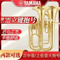 Yamaha Sanitsujis mid-voice number on the bass large number and the B-tone orchestra professional play