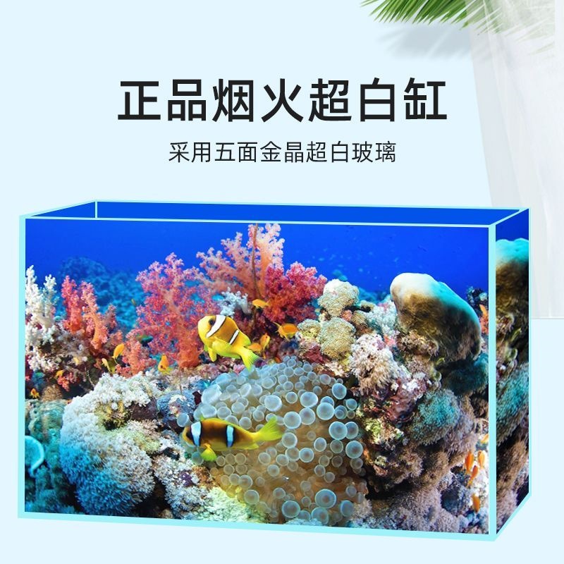 金晶五线超白鱼缸鱼缸家用客厅水草缸水族箱乌龟缸定做大中小型超-图0